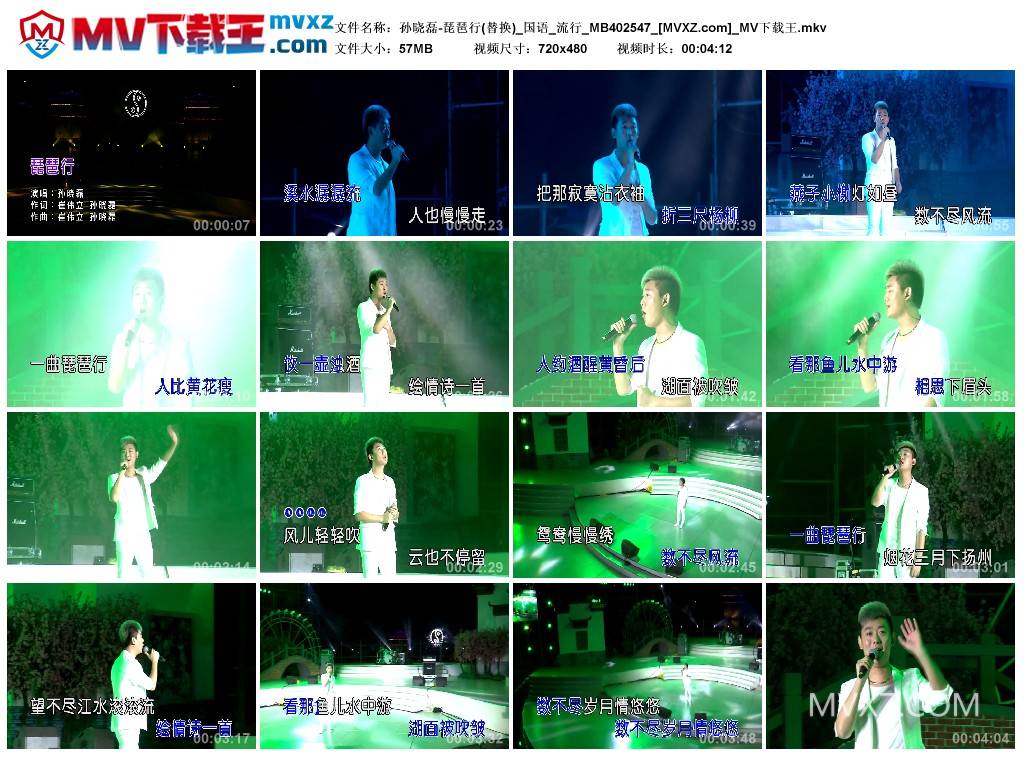 孙晓磊-琵琶行(替换)_国语_流行_MB402547